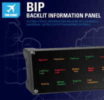 BIP info panel BIP info panel